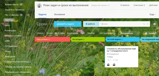 Сроки и Мой план Сроки и Мой план